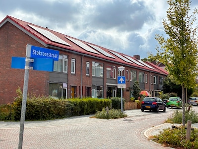 Image related to the article