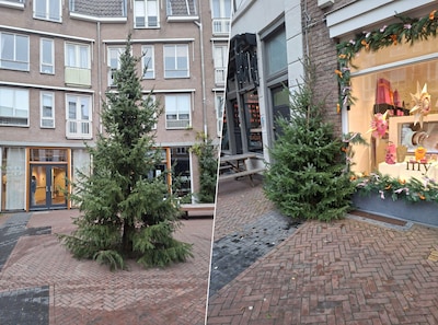 Waarom overal gekapte kerstbomen in het centrum? Plant liever échte bomen die blijven