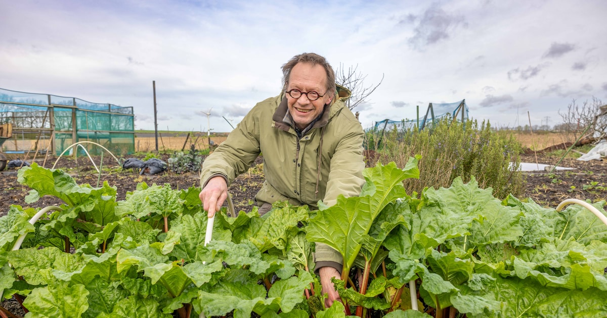 PFAS-uitspraak kan grote gevolgen hebben: ‘Wat is belangrijker, 1300 banen of 300.000 Zeeuwen?’