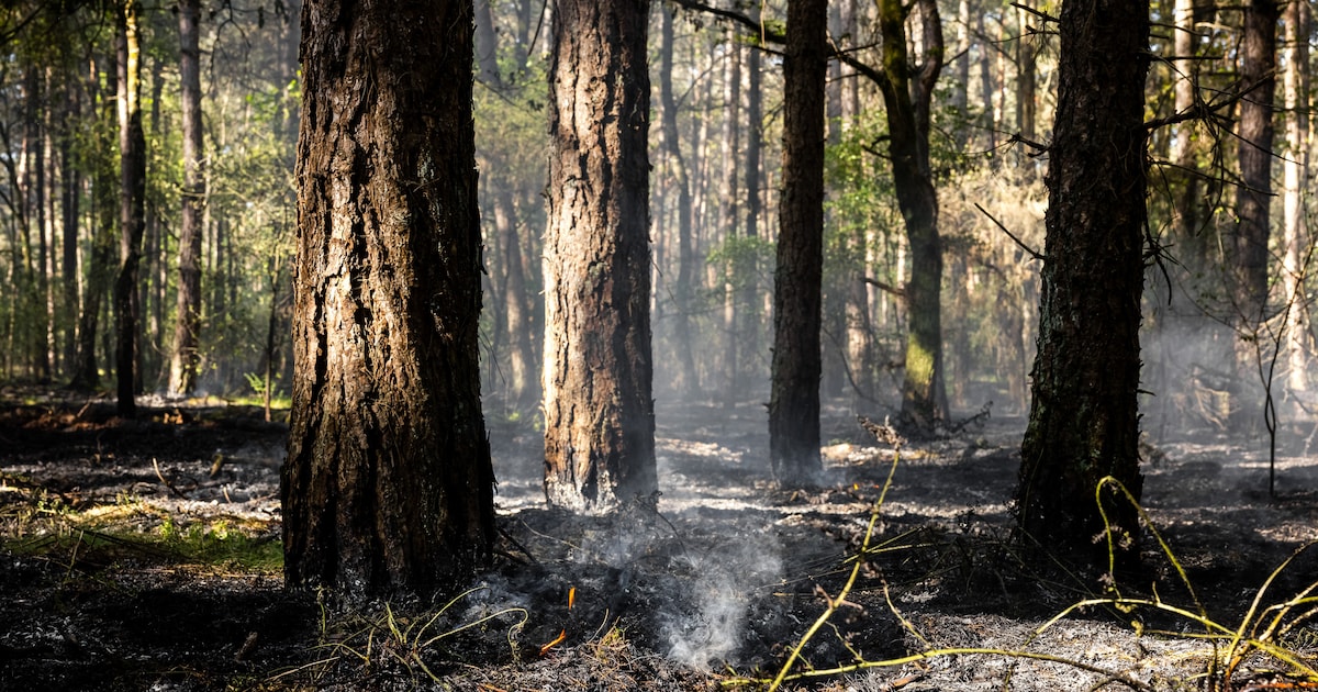 Brandweer Gelderland-Midden roept op extra alert te zijn op natuurbranden door het droge weer
