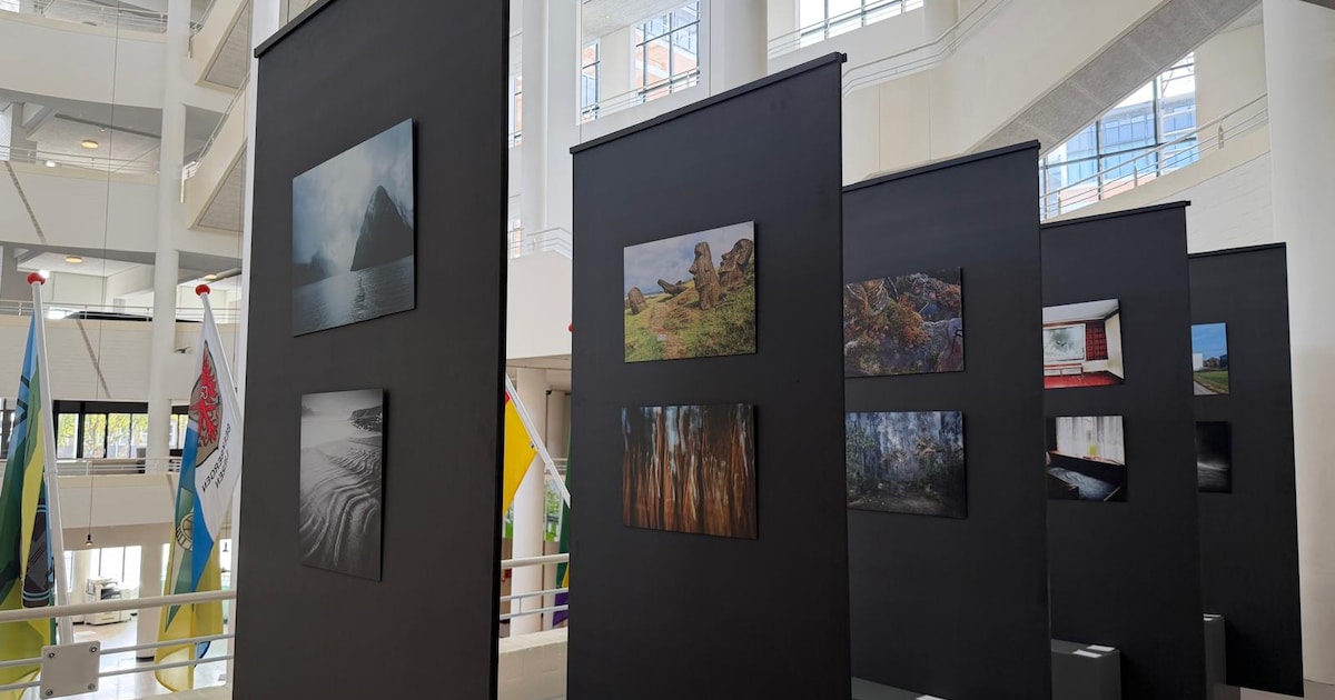 Welke foto blijft bij jou hangen? Apeldoorn Photo Award zoekt publieksfavoriet