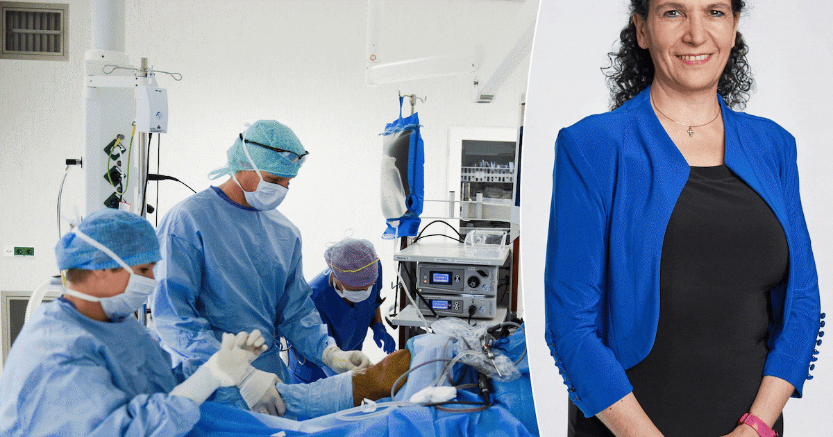 Wie wil door als wethouder in Amersfoort? Zeven keer ‘ja’ en één keer ‘nee’