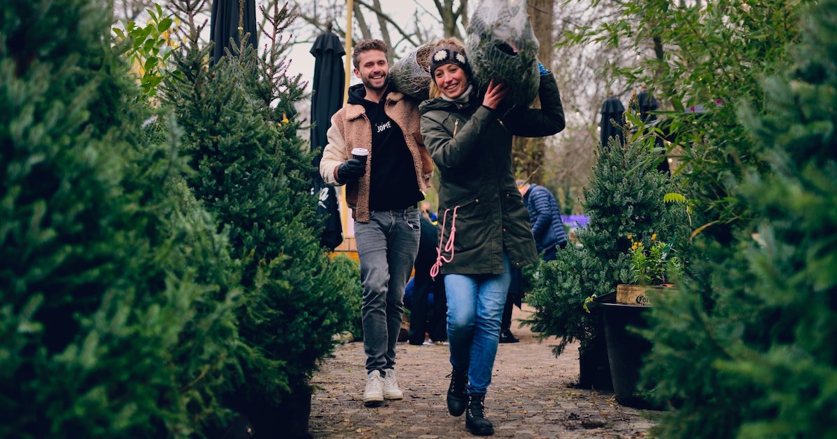 Oh dennenboom! Zo kun je nu alvast een kerstboom bestellen in Haarlem