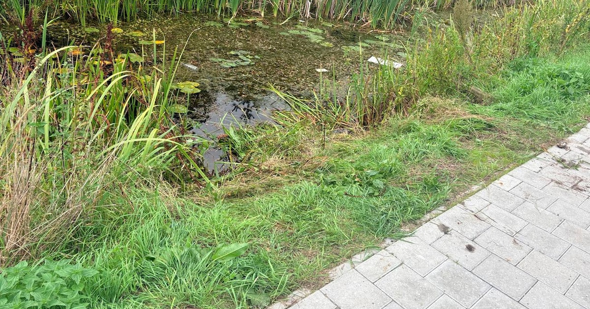 Scootmobiel belandt in water in Dedemsvaart