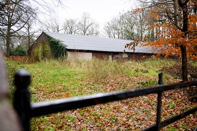 Burenruzie over schuurtje en vrij uitzicht in Diepenheim: ‘Hij wil alles kaal hebben’