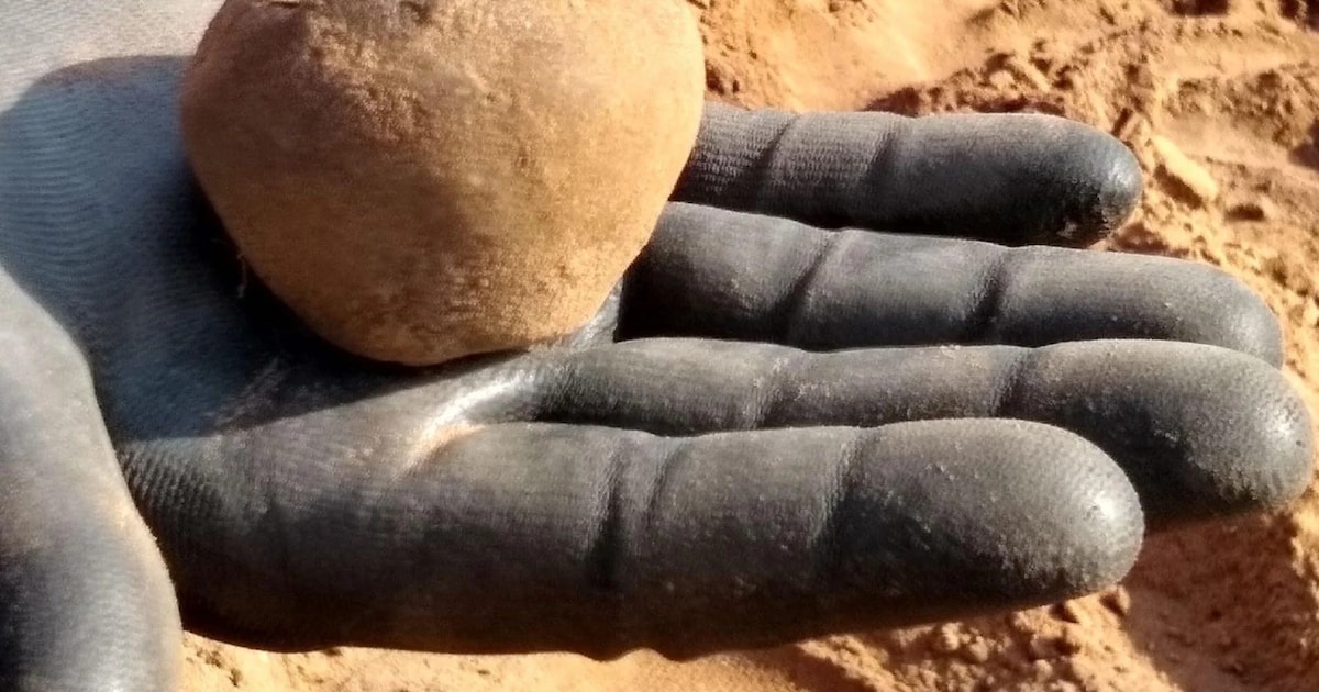 Open dag op opgraving Koesteeglocatie in Borger