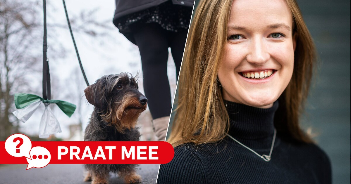 Gemeente Nieuwkoop blijft controleren op hondenoverlast: is dat effectief?