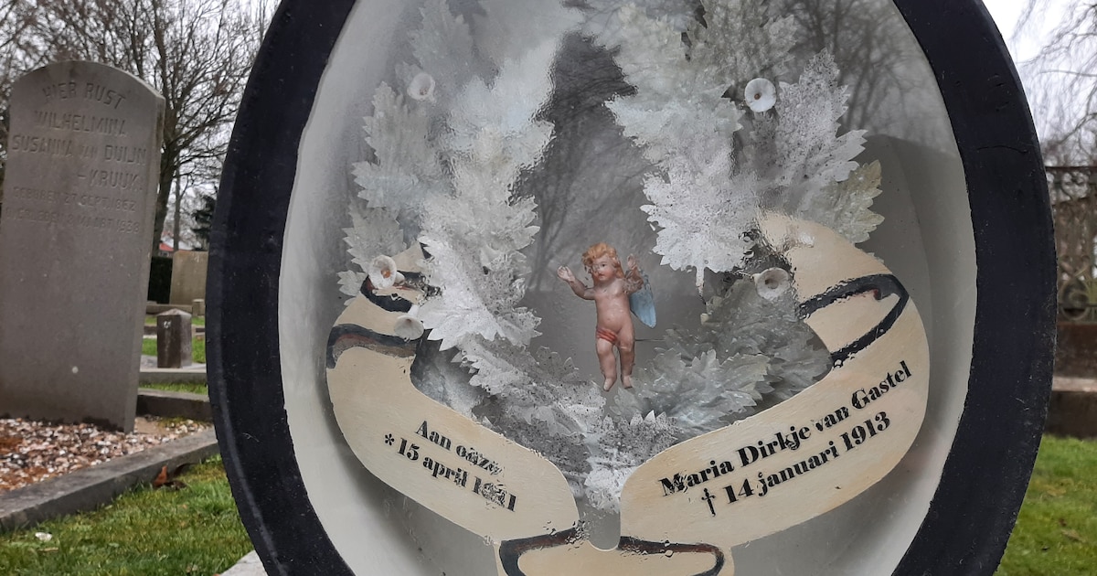 Freja van der Zee vertelt over graftrommels in Heerenveen