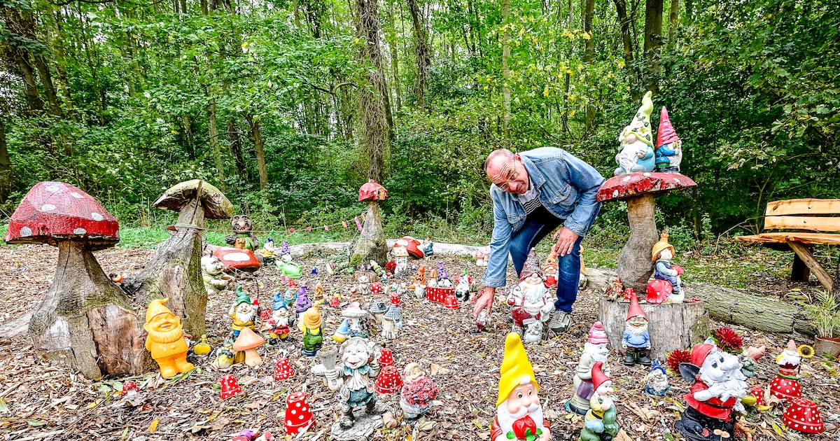 Kabouterbos in Capelle groeit na vernielingen: bewoners doneren massaal beeldjes