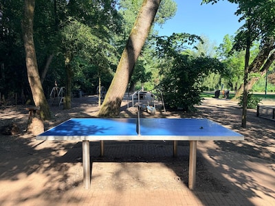 Free spring entertainment! Here are 7 places to play ping pong in Amsterdam