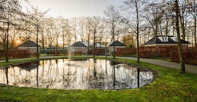 Image related to the article