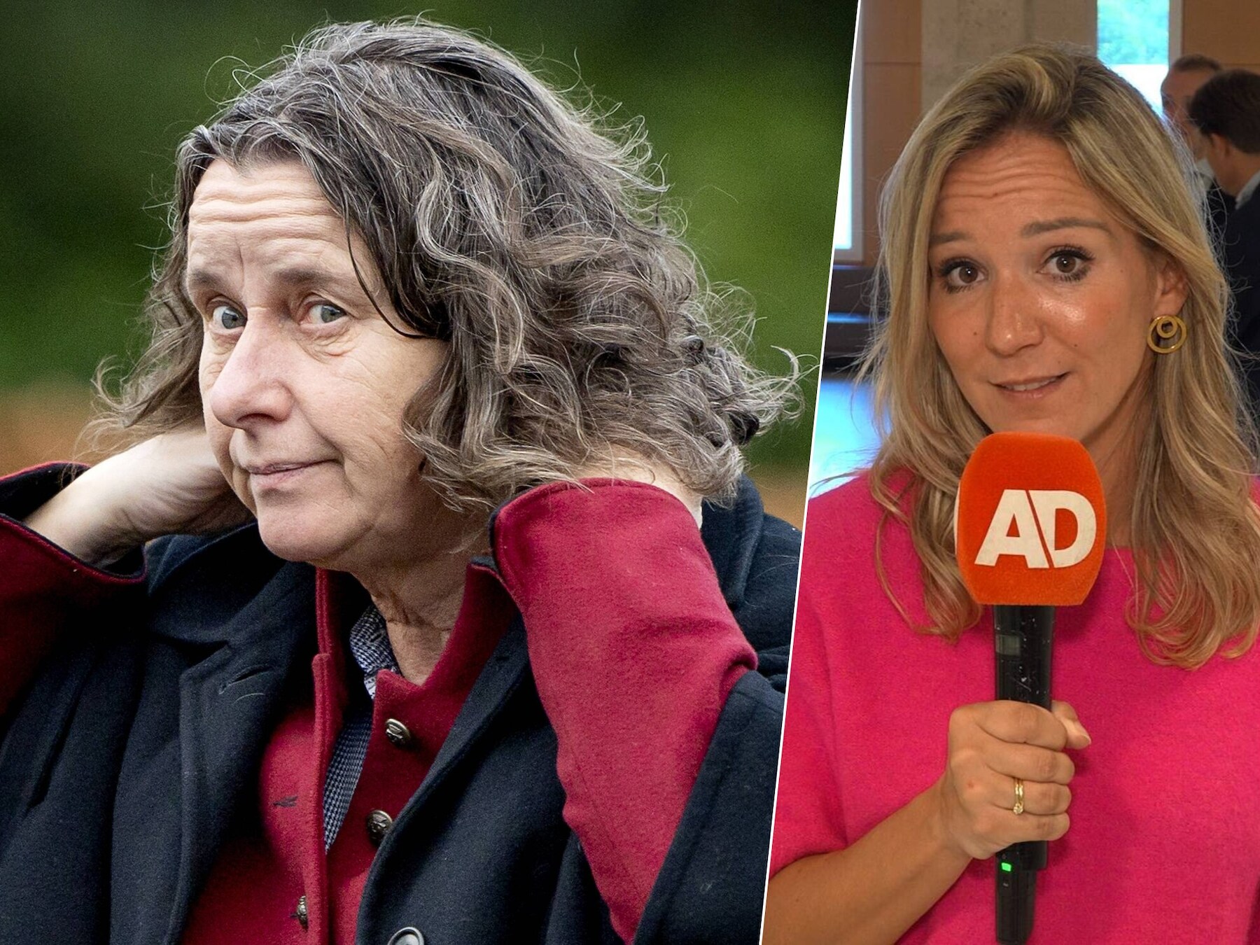 Moet Faber door haar boek de bak in? 'Lekken is strafbaar'