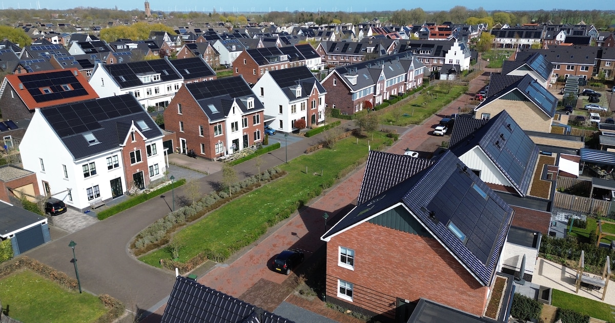 Energie delen in Eemnes: zo werkt het nieuwe systeem waarmee buren elkaar van groene stroom voorzien