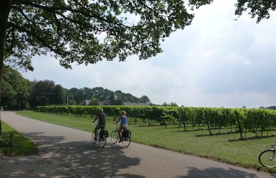 VVV Dinxperlo biedt grensoverschrijdende fietsroute in juli
