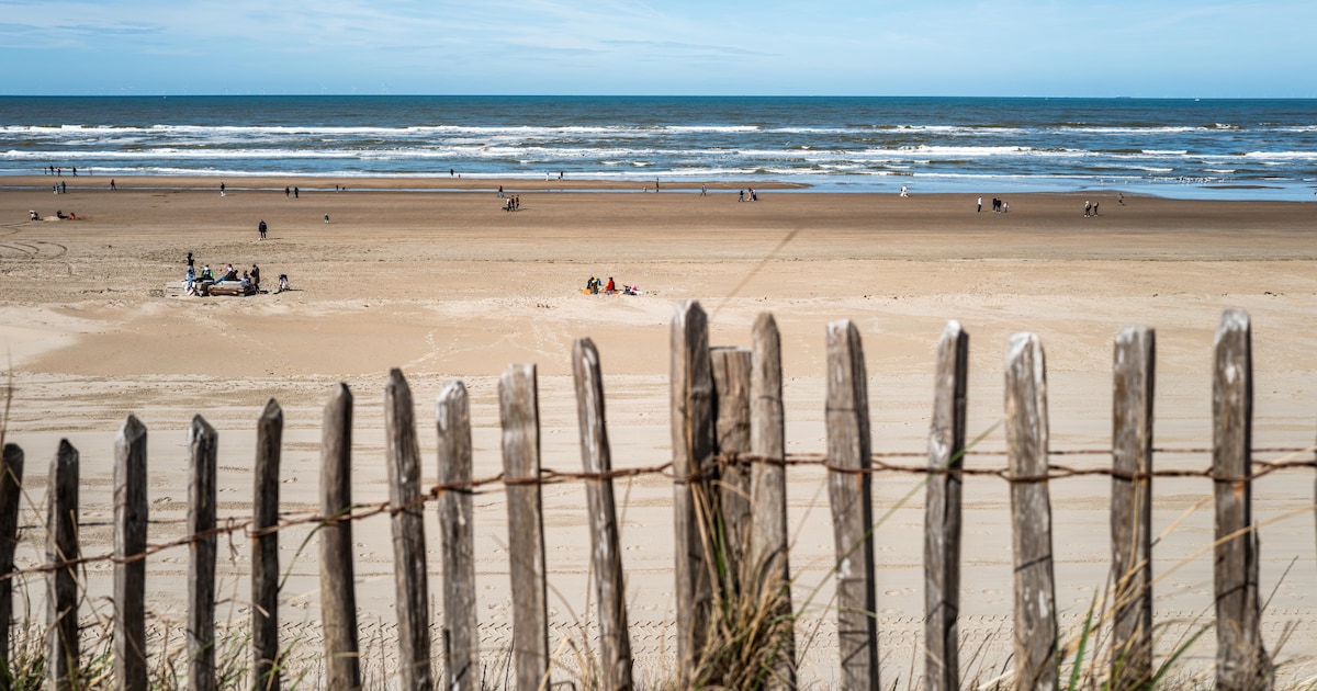 Excursie langs Ouddorpse strand en duinen