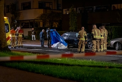 Paard overleden na aanrijding met auto in Rotterdam, automobiliste gewond