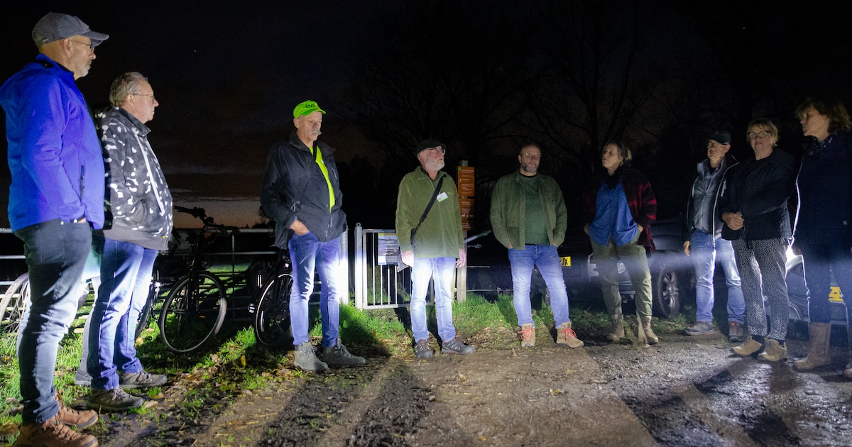 Staatsbosbeheer houdt nachtexcursie in het Bentwoud