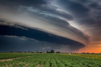 LIVE Hitte in Brabant | Opnieuw kans op stevige onweersbuien in Brabant, moet je bij onweer alle ste