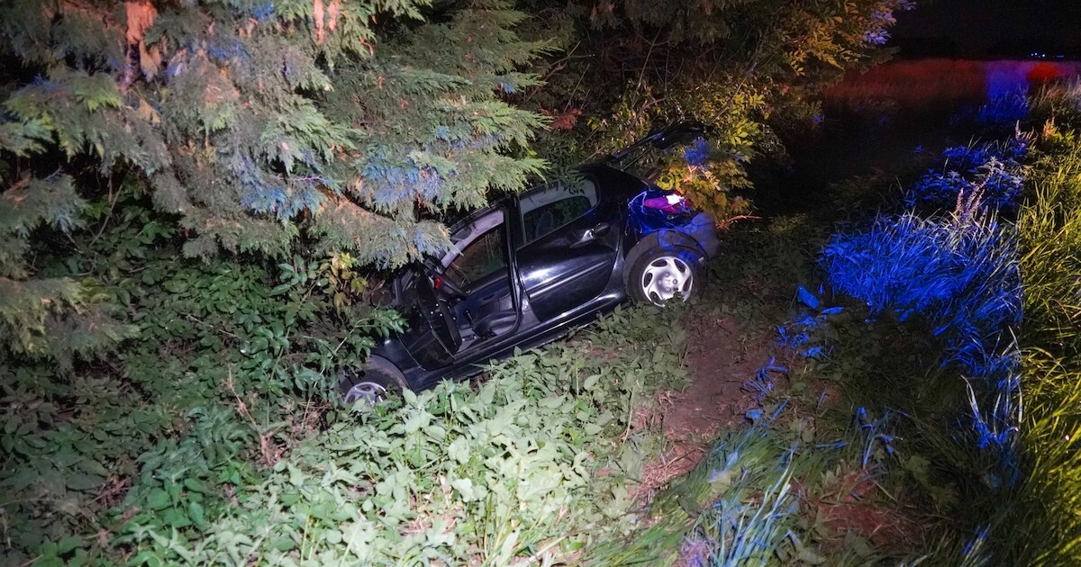 Auto raakt boomstronk en lanceert berm in langs Medemblikkerweg in Wieringerwerf