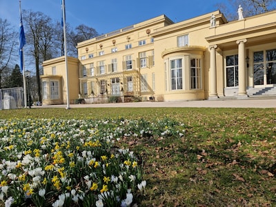 GroenLinks-PvdA Wassenaar lanceert nieuwe verkiezingswebsite