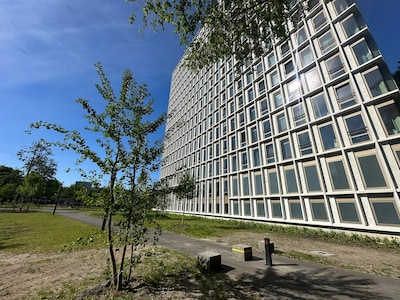 Drie mannen horen hulpgeroep en redden studente van verkrachting in Eindhoven, rechter eist nu 4 jaa