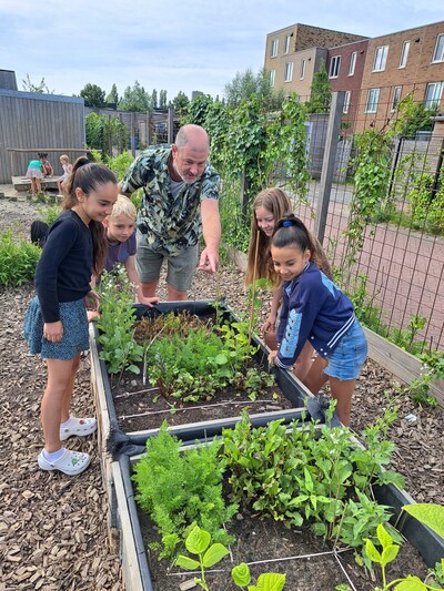Met moestuin op schoolplein zaaien en oogsten kinderen zelf, en dan eten ze ineens wél groente