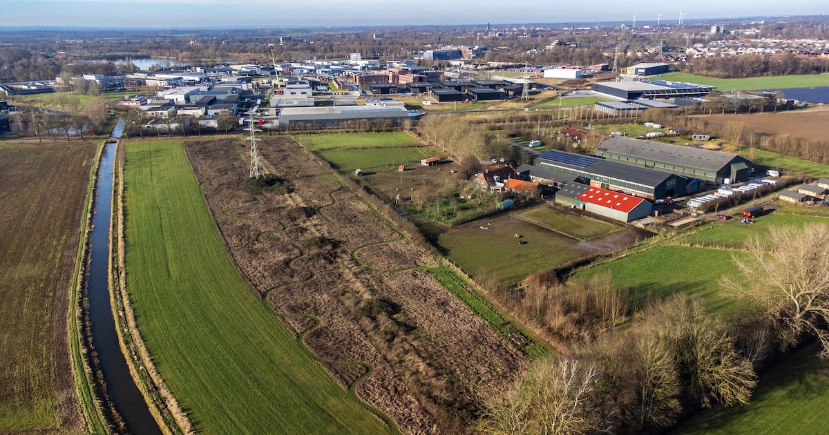 Dromen over de toekomst? In het buitengebied van Zutphen is dat verleden tijd: ‘Dat doet pijn’