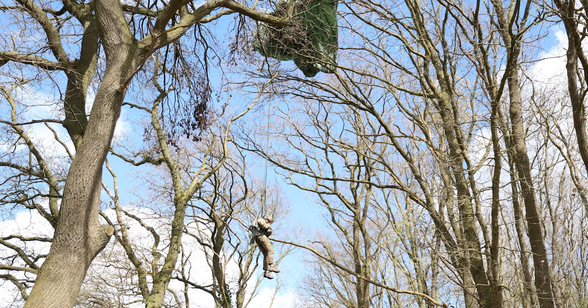 Militair belandt met parachute in boom tijdens herdenking in Spier