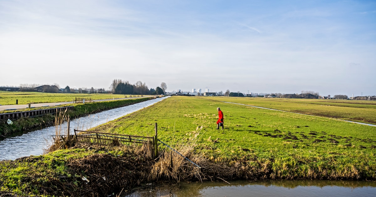 Omstreden dorp naast Rotterdam lijkt er nu echt te komen, rekening voor gemeente: 8,8 miljoen euro