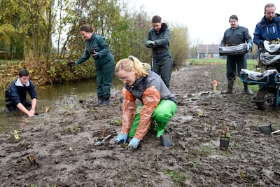 Kale slootoevers Kamerik veranderen in rijke natuurlandjes