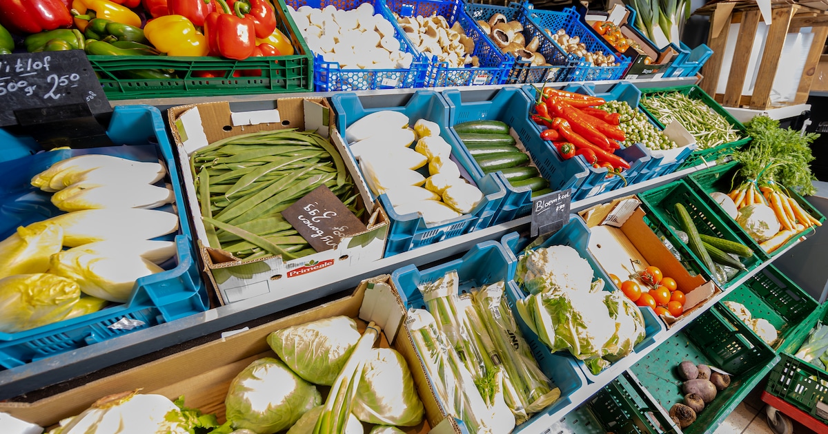 Gratis cursus over goedkope gezonde voeding in Vaals