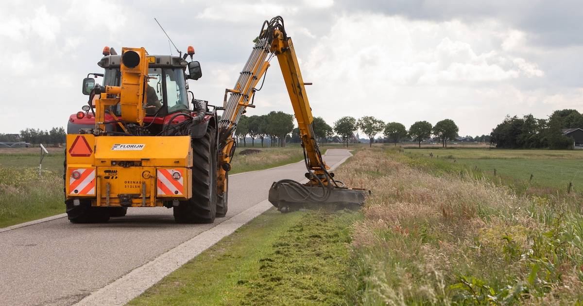 Gemeente Katwijk past maaibeleid aan om natuur te beschermen