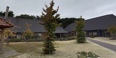 Image related to the article