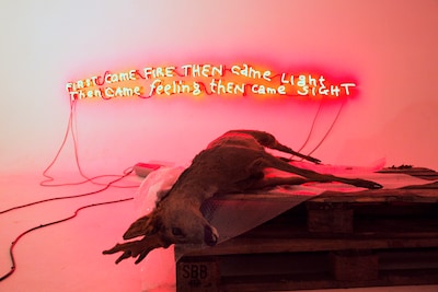 Clash tussen stad en platteland bij kunstalchemist Anna Lange