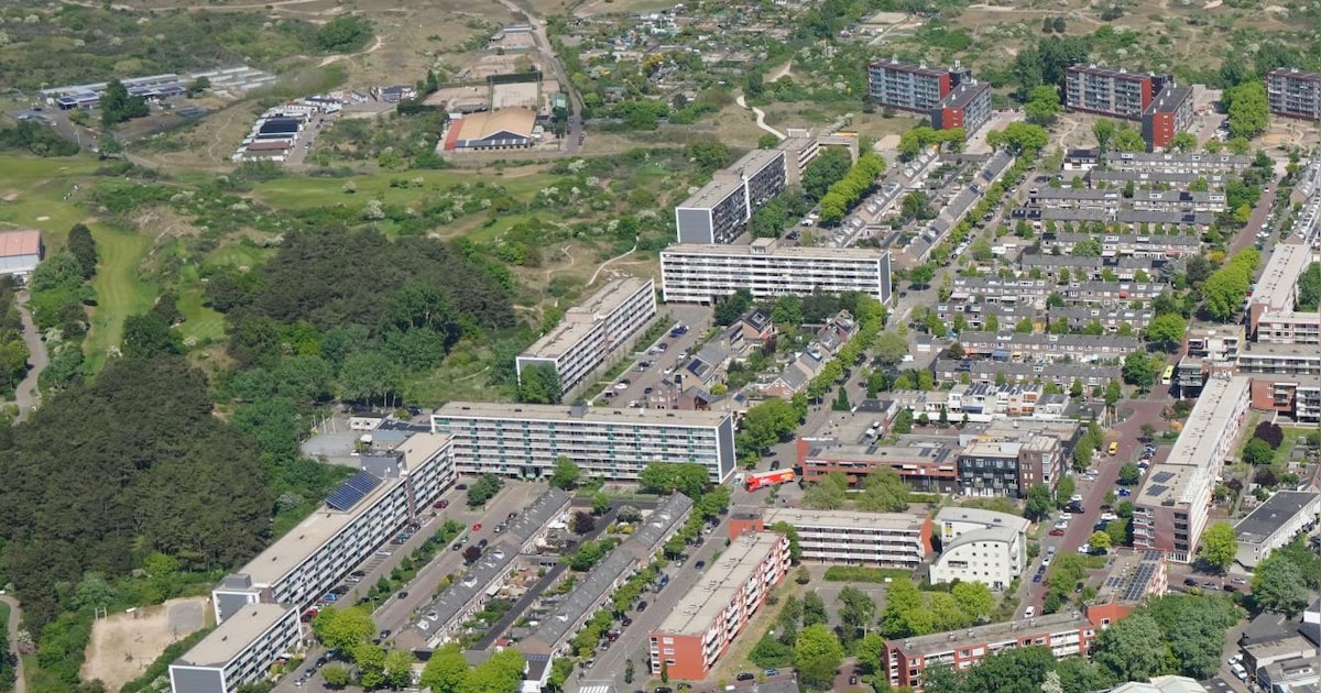 Kinderen kiezen nieuwe toestellen voor speeltuinen Nieuw Noord: plaatsing volgt snel