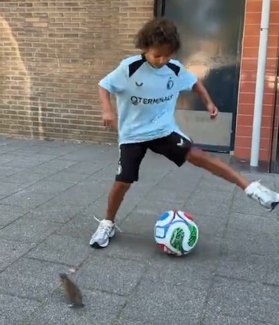 Filmpje van dribbelend zoontje slaat om in rattenpaniek: ‘Hij rende zo langs mijn voet’