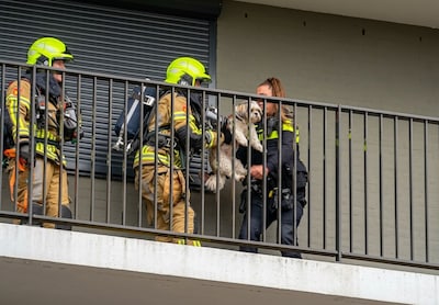 Buren slaan alarm als zij de rookmelders horen: brandweer redt hondje uit woning vol rook