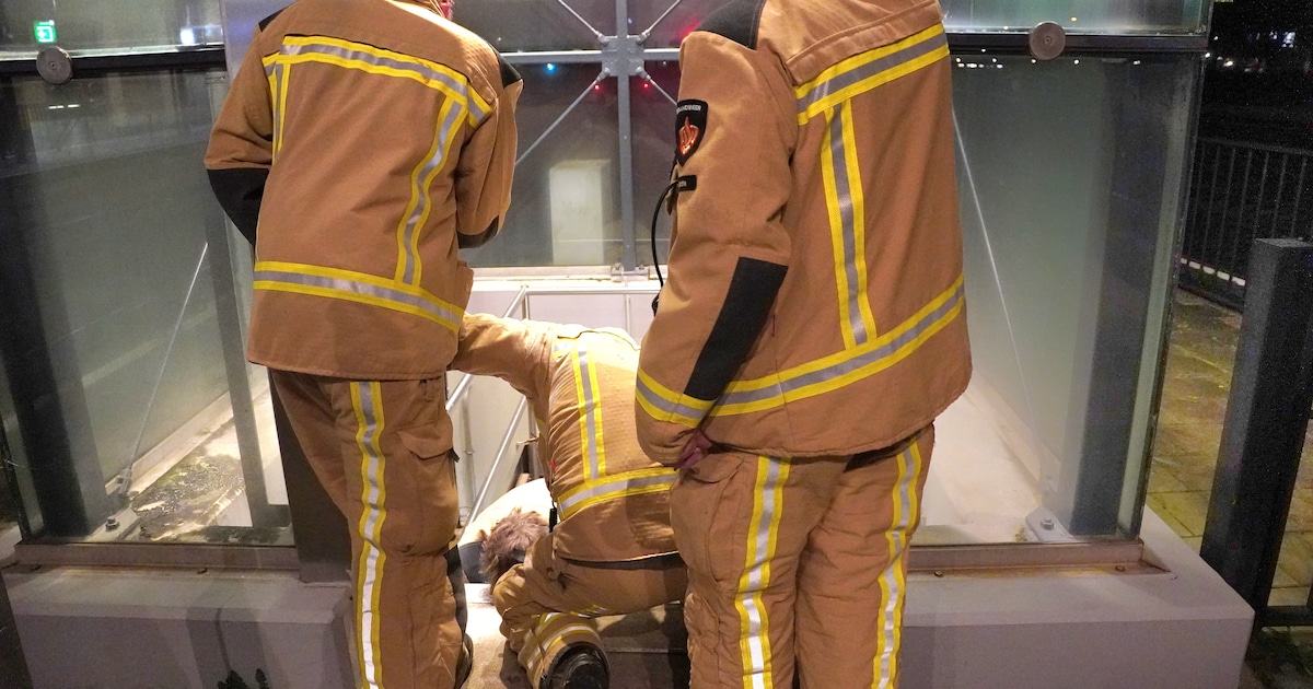 Problemen op station Meppel: wéér zitten mensen vast in een van de beruchte liften