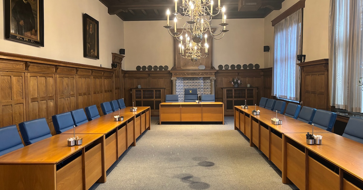 Gemiddeld raadslid Zandvoort diende afgelopen jaren acht moties in, deze partij was het meest effect