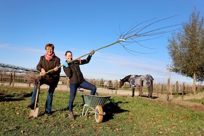 ‘Neder-Betuwe in het Groen’ gestart en opnieuw medailleregen voor T&P Sport