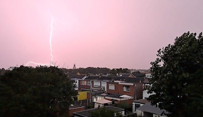 LIVE Hitte in Brabant | Code oranje in Brabant: noodweer barst los in deel van provincie