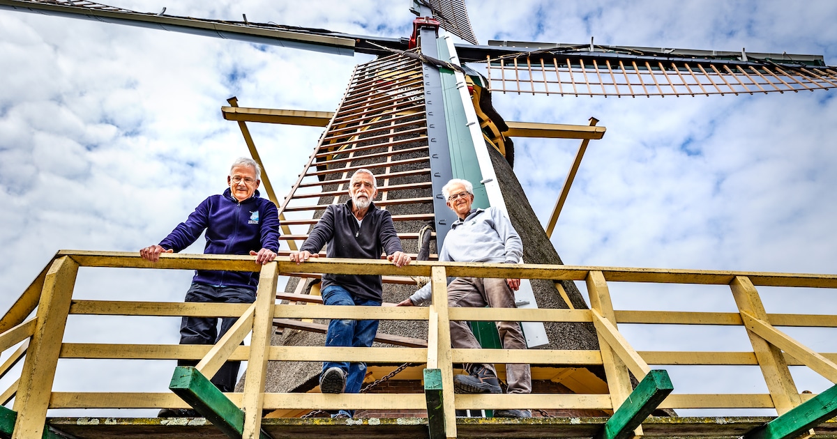 Waarom een molenaar vooral moet voelen en luisteren: ‘Als de wind verandert, verandert ook het produ