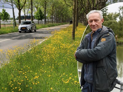 Bermen veranderen: kleurrijke bloemenzee helpt insecten beter te overleven