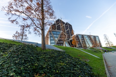 Vrouw krijgt snijwonde van 5 centimeter in hals: partner (42) veroordeeld tot 18 maanden