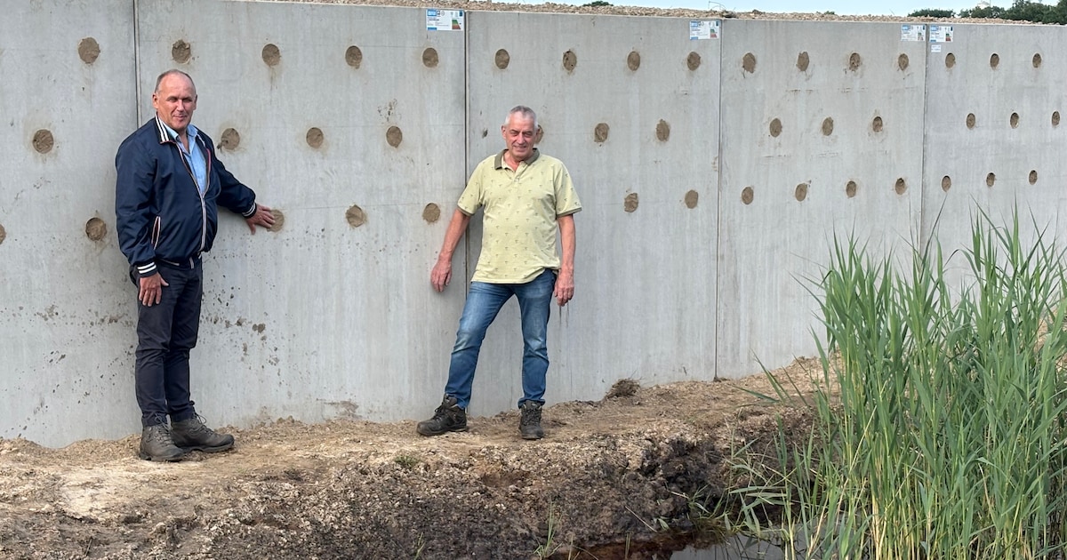 Betonnen wand met 55 gaten moet oeverzwaluw naar De Pielis in Luyksgestel trekken