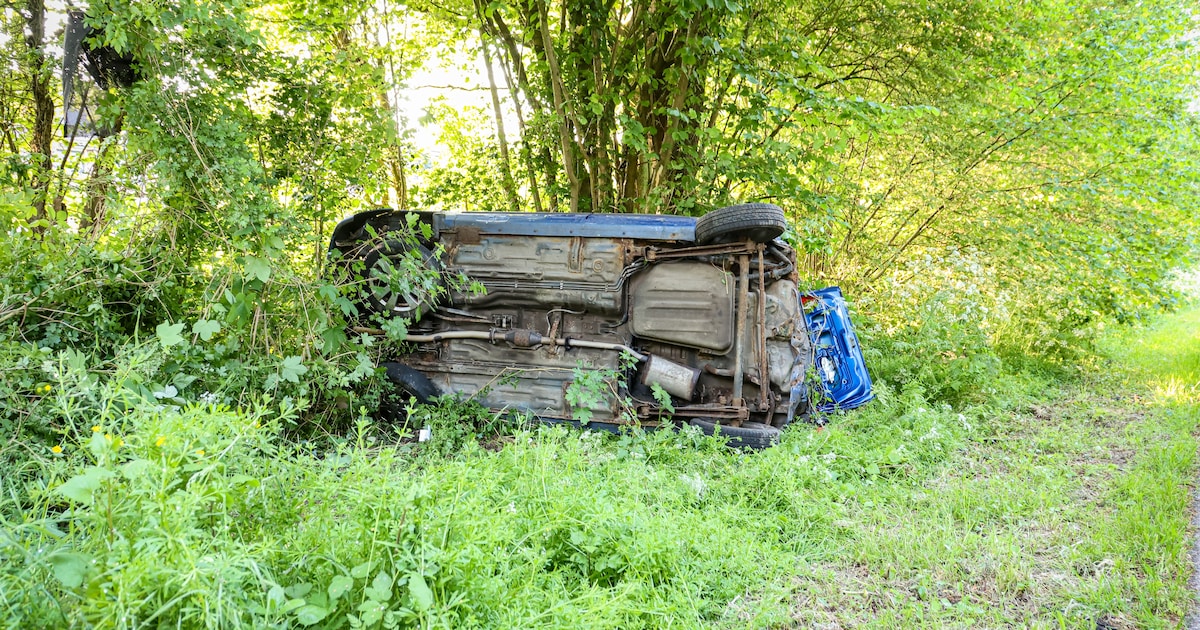 Auto belandt op de kop in struiken in Bleiswijk