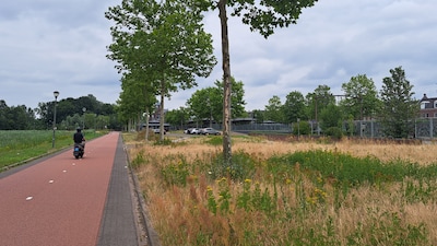 Image related to the article