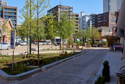 Iedereen is blij met het nieuwe Wilhelmina­plein in Eindhoven: ‘Alleen maar lof, het is prachtig gew