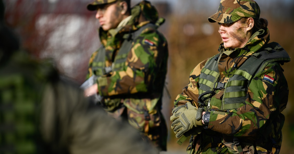 Militairen leggen eed af tijdens ceremonie in Van Meurspark