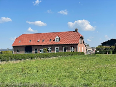 Image related to the article